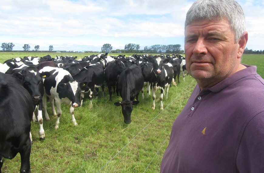 Farmer advocate questions efficacy of M bovis report