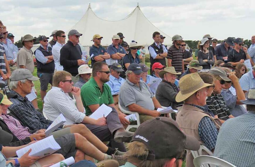 A crowd of people sit in a field in front of a marquee at a Foundation for Arable Research field day.