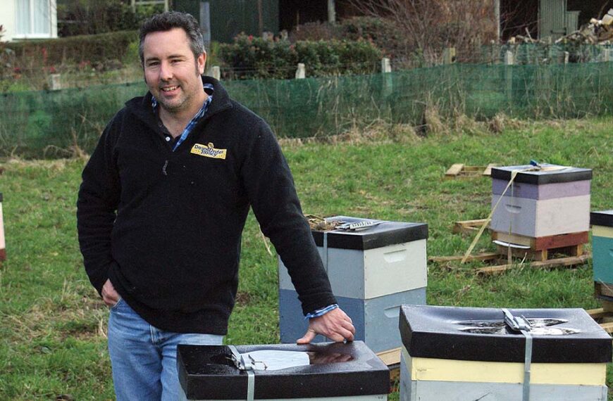 NZ mānuka honey producers stung by ruling
