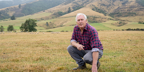 Southland, Otago farms grappling with dry conditions