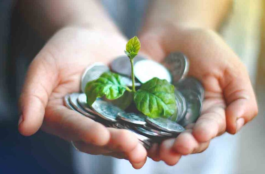 A close up of a pair of hands holding a pile of silver coins with a small green leafy plat growing out of it.