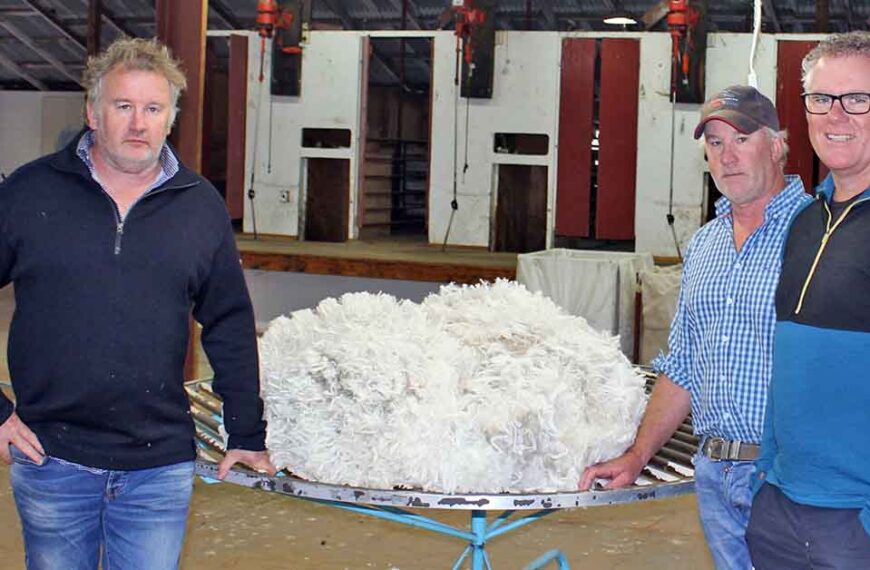 Bendigo station co-owners Dan and Stu Perriam and Devold Wool Direct general manager Craig Smith stand in a woolshed with a bale of sheeps' wool.