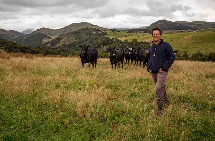 Hamish Galletly stands in a dry paddock with some black beef cattle behind him.