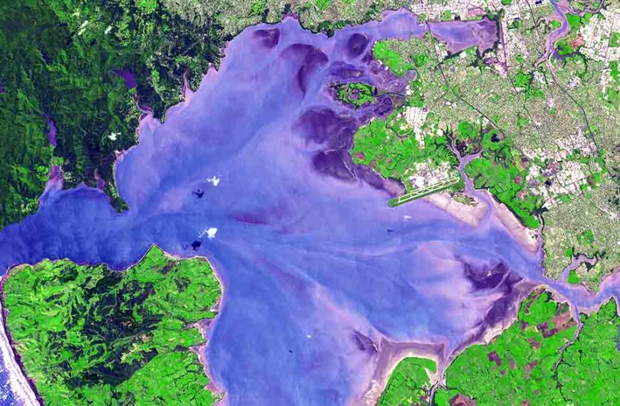 A satellite image of Manukau Harbour.
