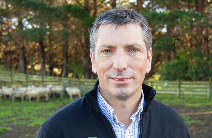 Beef + Lamb NZ chief executive Sam McIvor in a field of sheep.