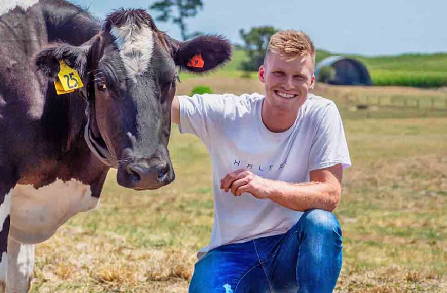Craig Piggott kneels down beside a dairy cow in a paddock.