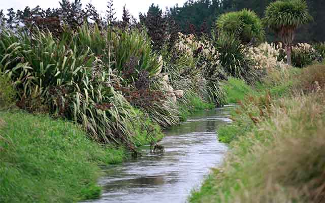 DairyNZ challenges Southland water quality limits