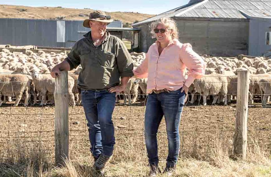 Tom and Julia Waldron stand against a fence with a mob of sheep in the yards behind them.