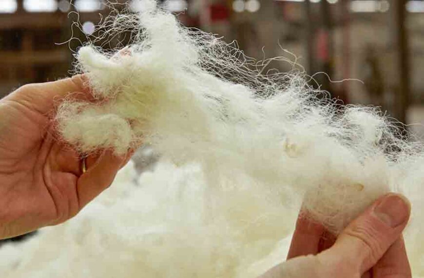 Decarbonisation initiative to boost wool exports