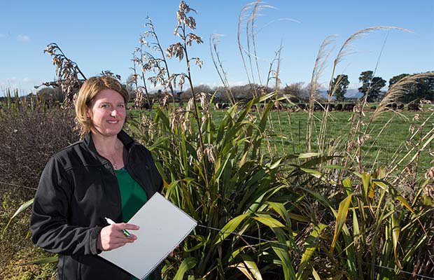 Rising farm costs heighten El Niño concerns