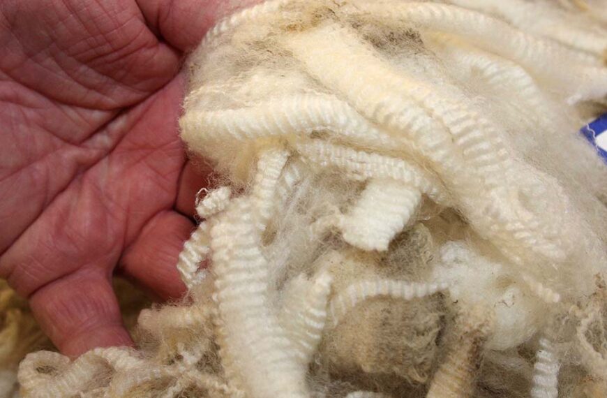 Government backs strong wool growth
