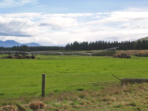Two more big farms for NZ Rural Land