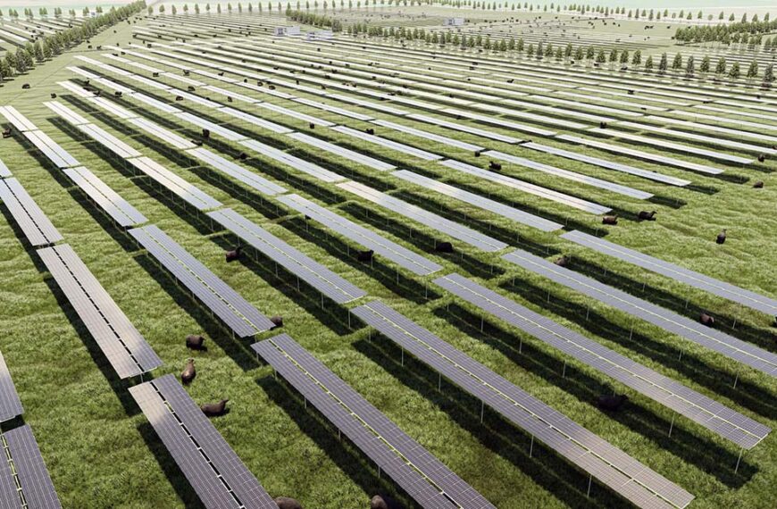 High-profile solar farm projects pique farmer interest