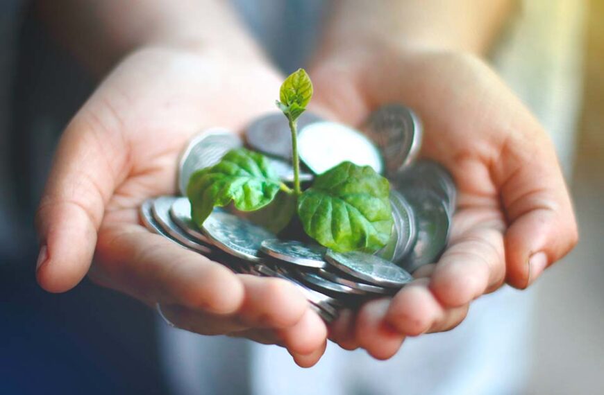Close-up of extended cupped hands holding coins with a fresh plant sprouting from it.