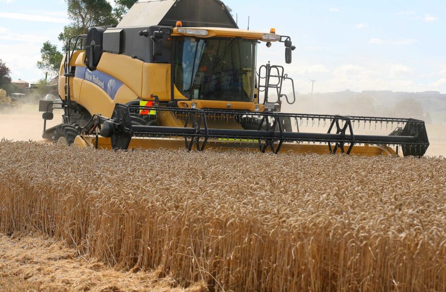 EPA drops ball on crop treatment options