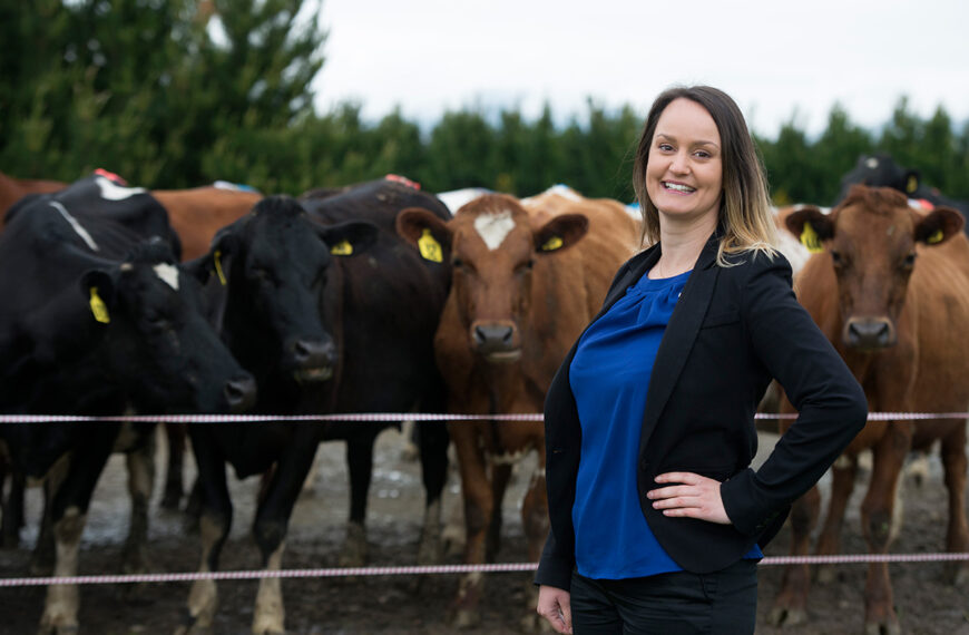 Bumpy yet profitable road ahead for dairy