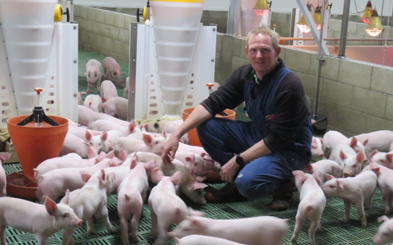 NZ pork ‘under serious threat’