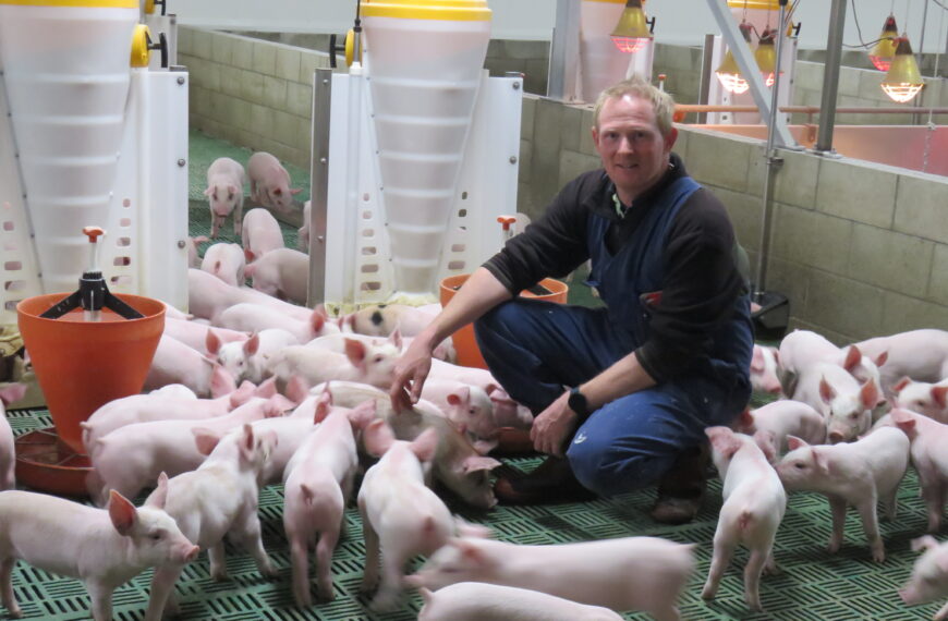 NZ pork ‘under serious threat’