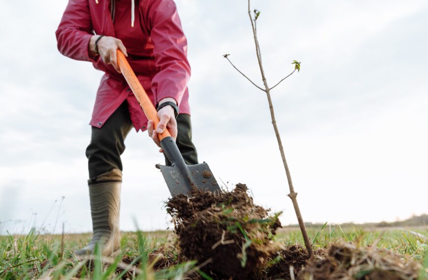 How to check your soil health using the spade test
