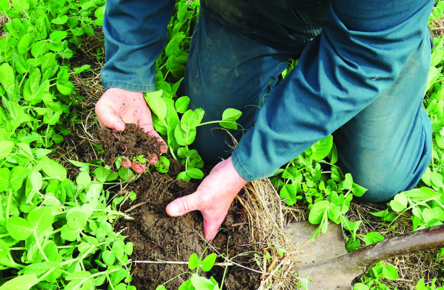 How healthy is the soil on your farm?  