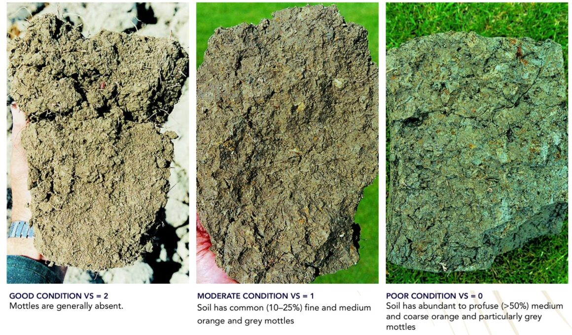 How to do a visual soil assessment on-farm