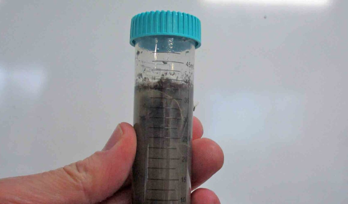 A close up of a test tube full of soil in a person's hand.