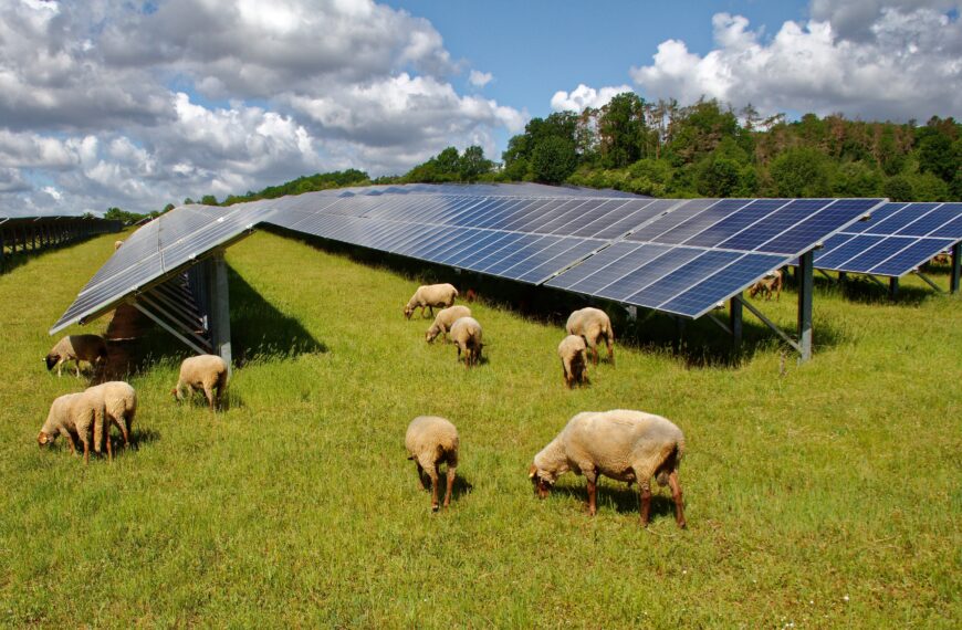 Waikato solar farm gets green light