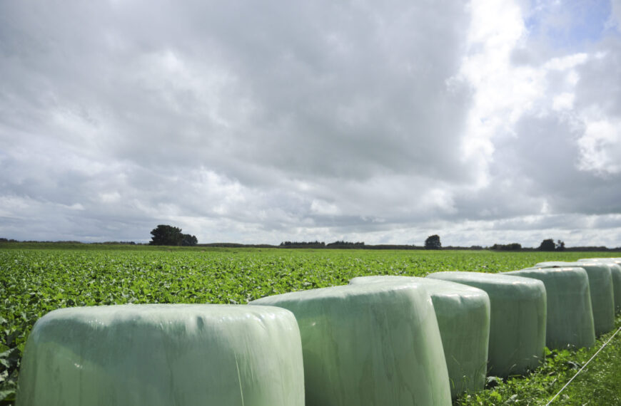 New rural recycle scheme targets ‘four big plastics’