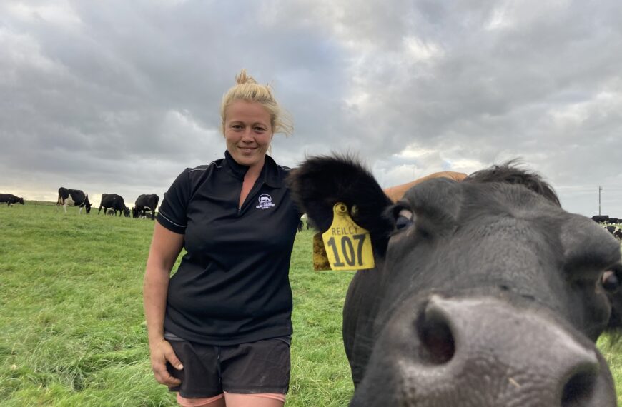 Assistant herd manager swapped desk job for cows