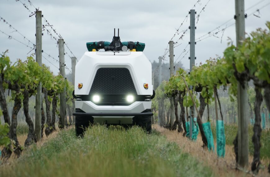 Robotics to turn vines into no man’s land