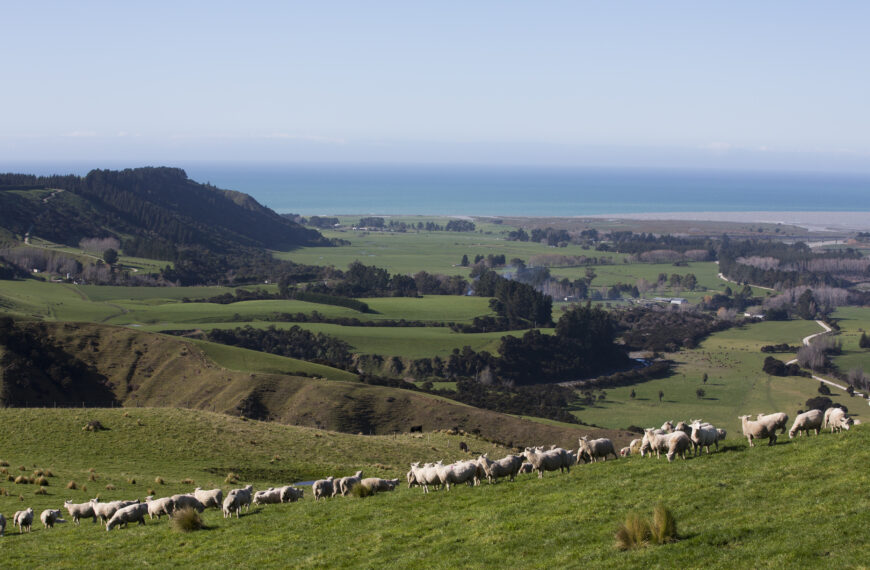 NZ Rural Land broaden scope to offshore investors