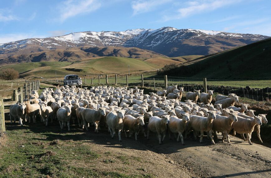 Ag holding its own in Otago, study shows