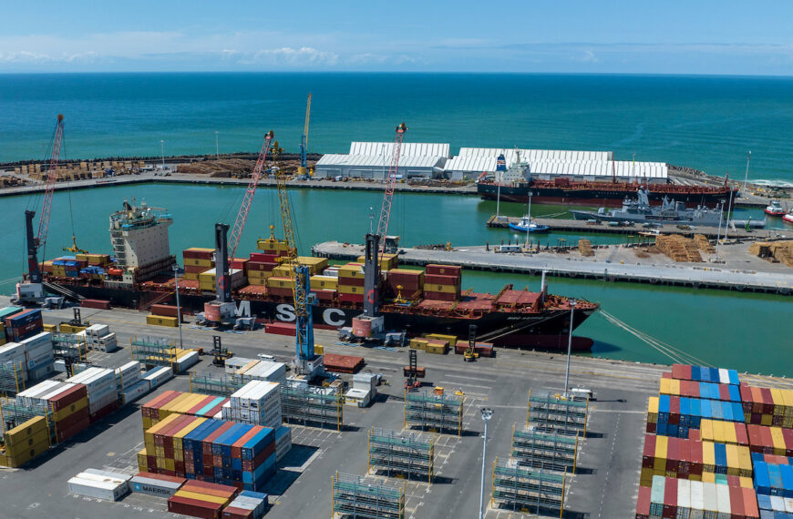 Napier Port back in business for cargo
