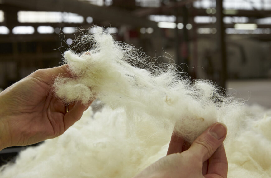 South Island strong wool warms up bidding 