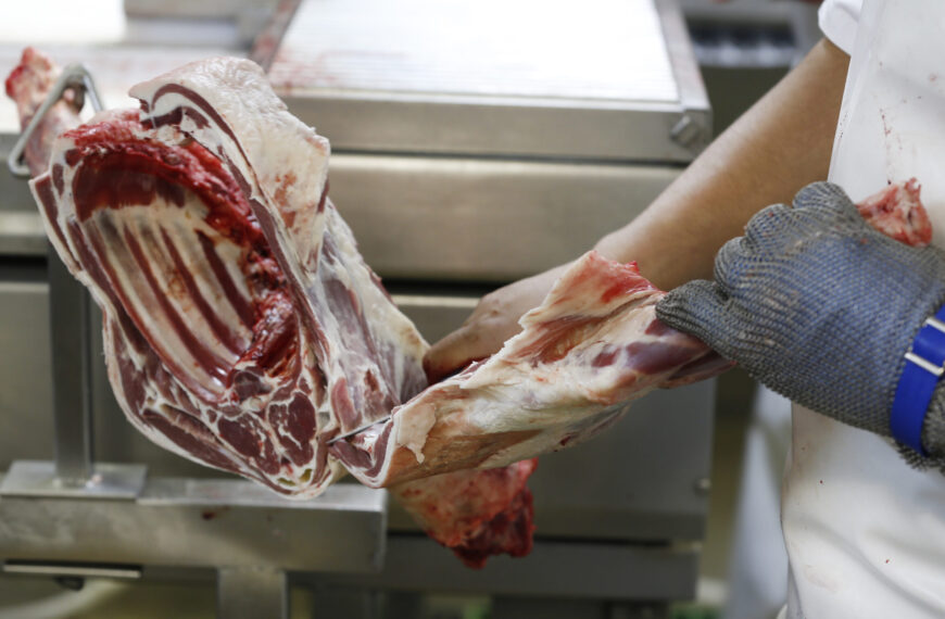 Red meat export values for July dip