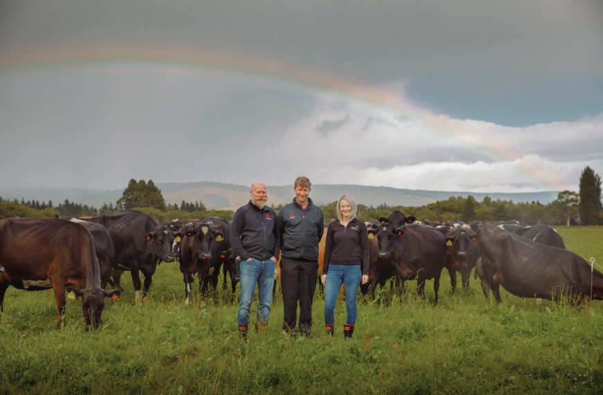 Using Northern dairy breeds for Southland farms 