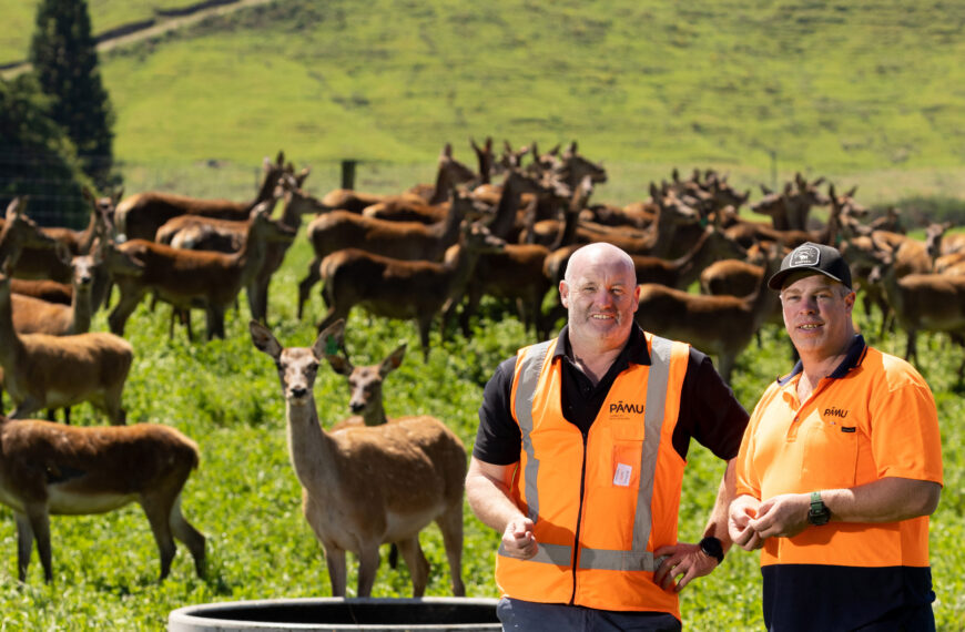 Deer milk proves to be a high-value venture for a Taupō farm