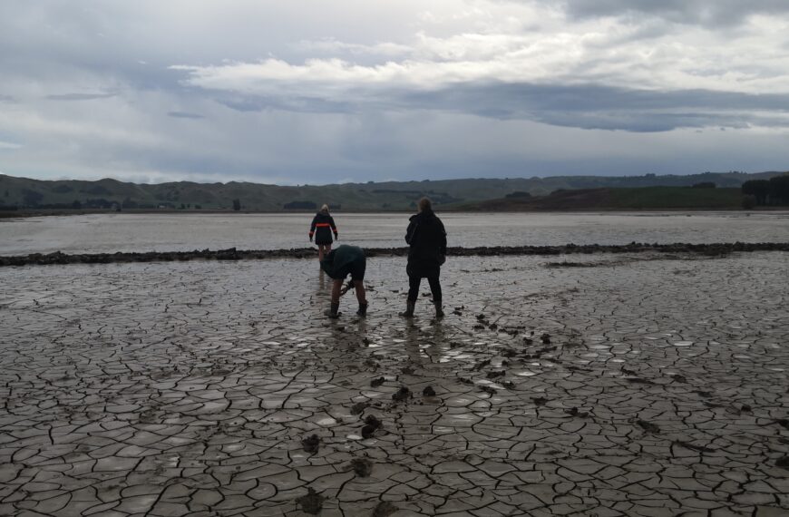 Flood and sediment lessons to learn across catchments