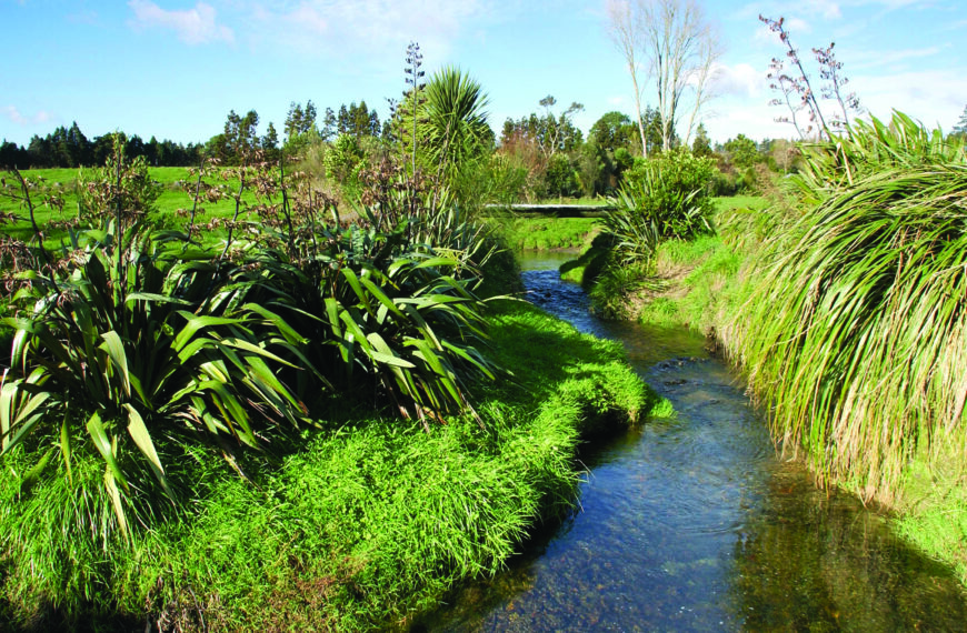 Catchment groups get free eDNA testing