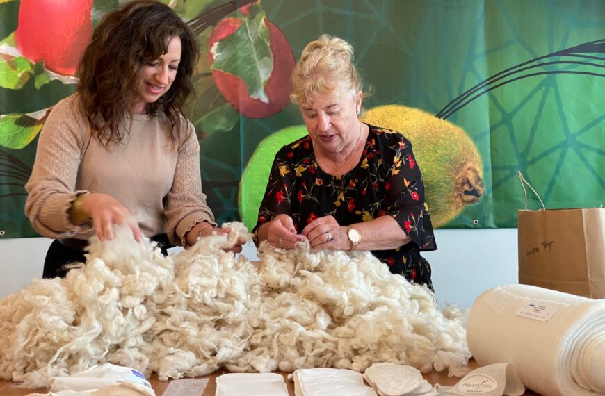 Nappies offer new life to strong wool