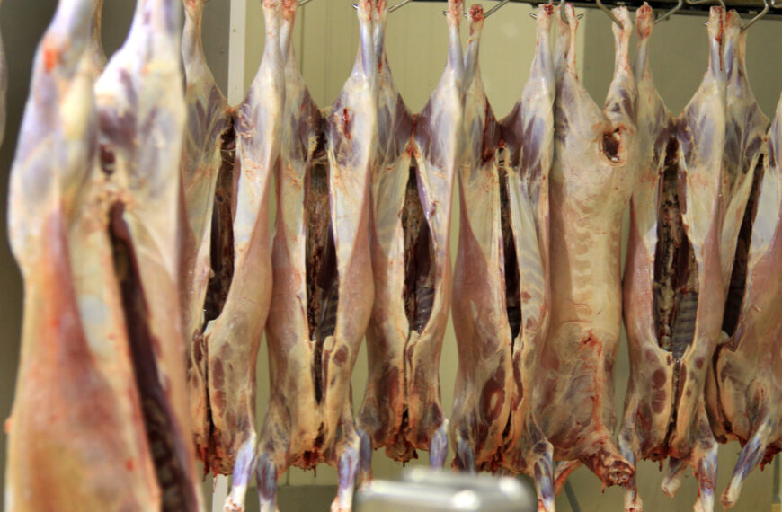 Not so lucky new year for China lamb