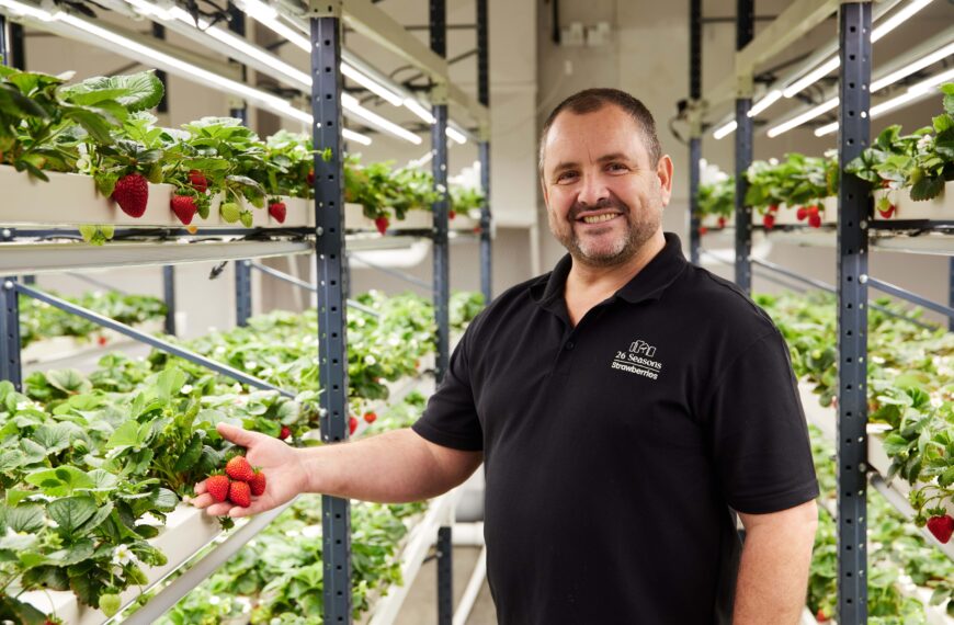 Indoor strawberry system looking for investors