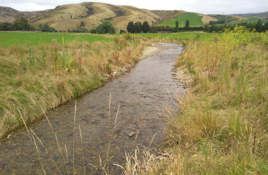 Key Otago trout spawning streams identified 