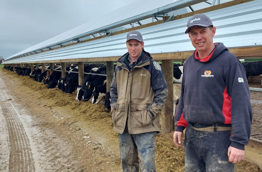 Dairy farmer finds the optimal feed blend for his herd