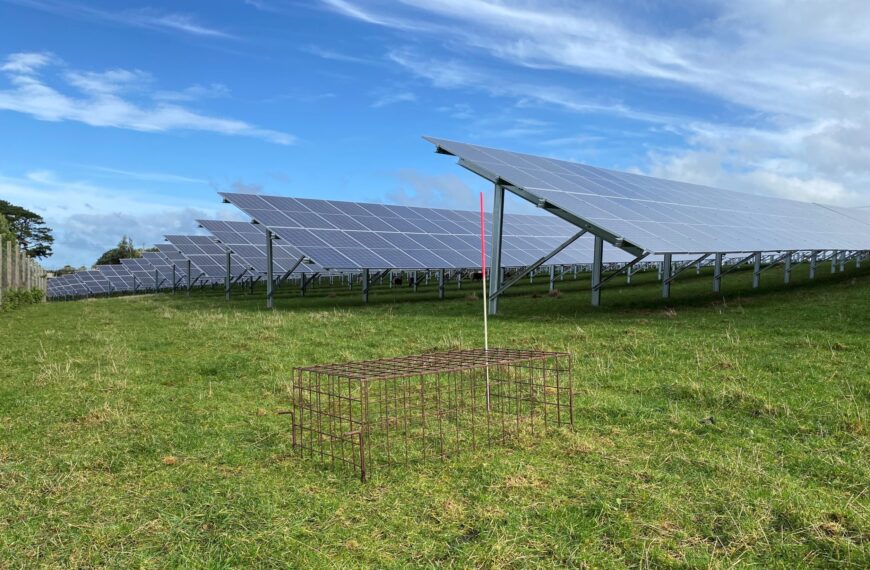 Study takes a closer look at solar panels and pastoral farming