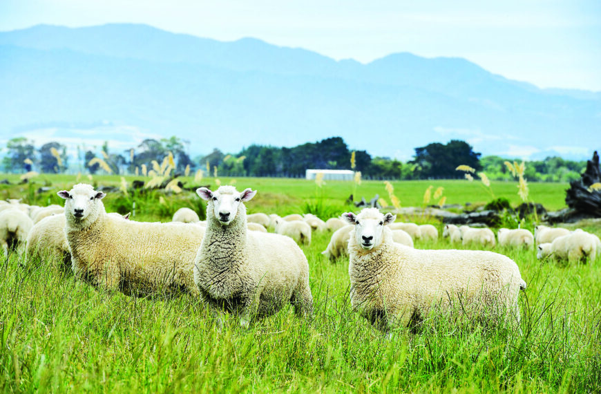 NZ farmers ‘have what the world wants’