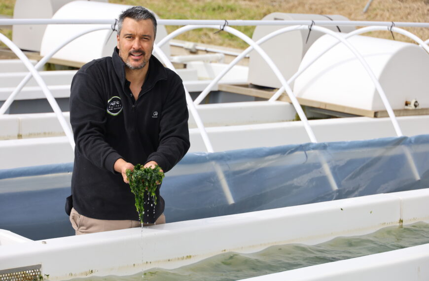 Freshwater seaweed trials a sparkling success