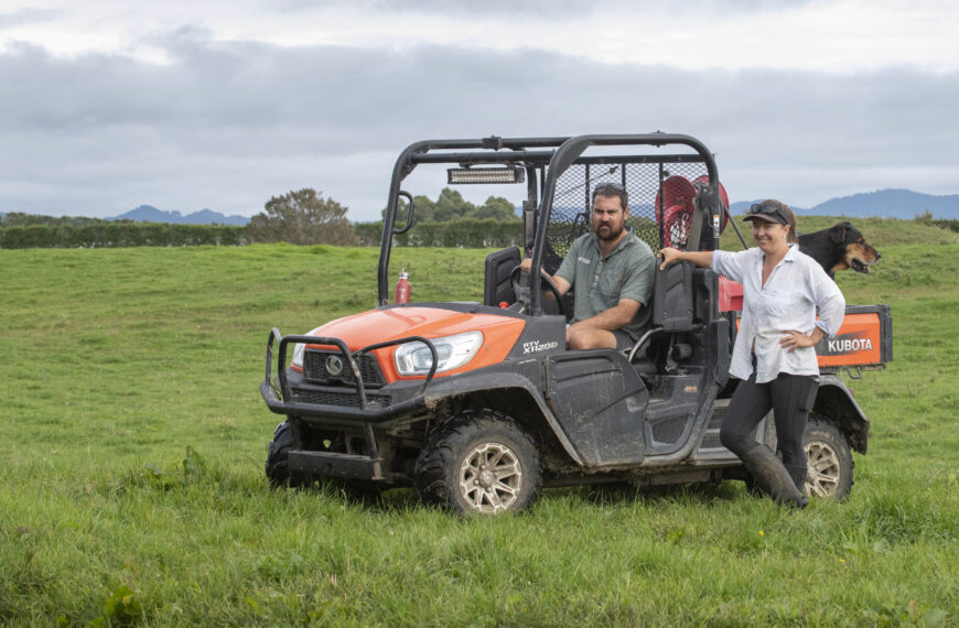 Paengaroa farm goes OAD in quest for work-life balance