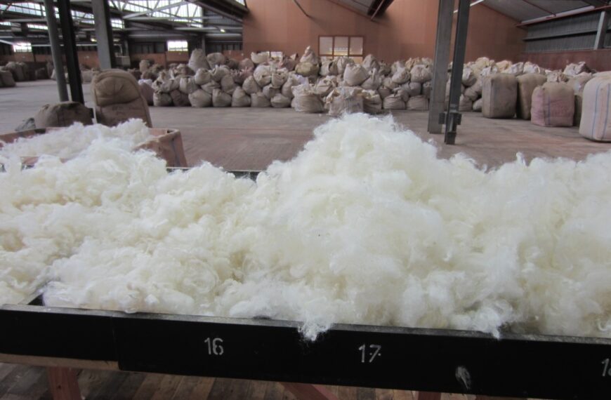 Bremworth offers woolgrowers 10-year contracts