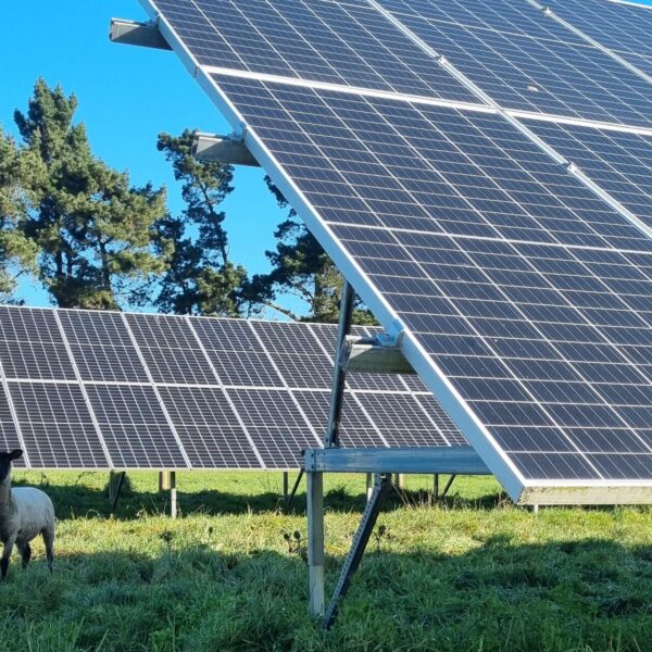 Solar panels light up drystock income